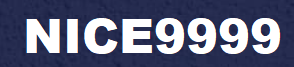 Nice9999